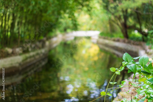 Detail of green leaves with the unfocused background of a canal surrounded by vegetation reflected in the water in El Capricho Park in Madrid, Spain