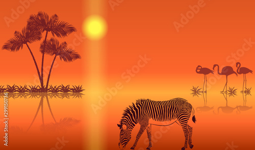 Sunset landscape with flamingos silhouettes and zebra