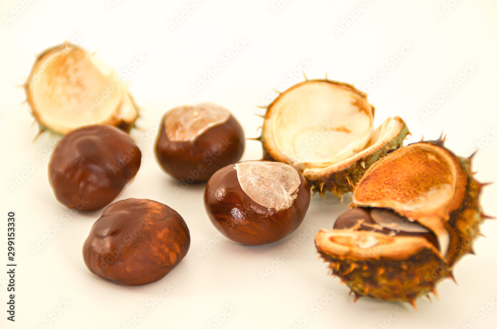 Chestnuts isolated on white background. close up. Chestnuts isolated on white background. close up.