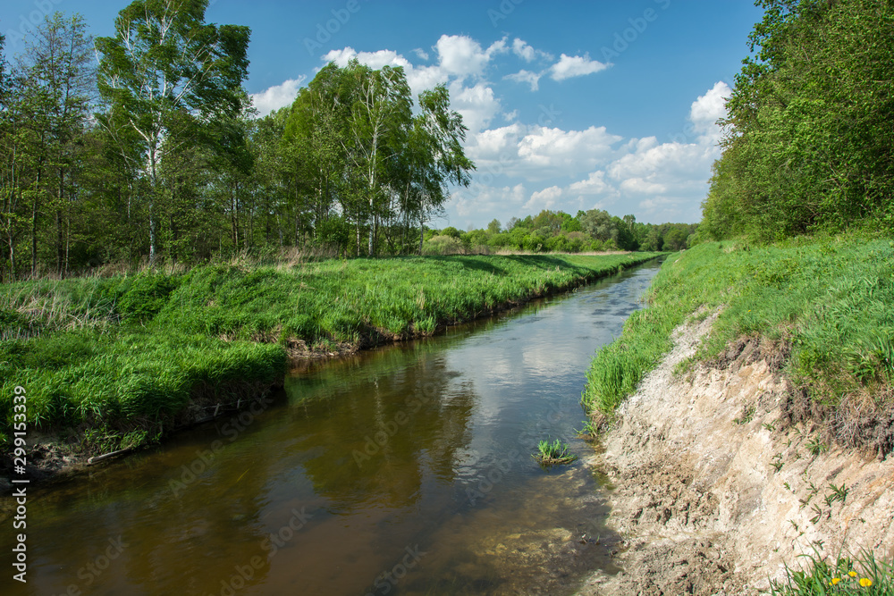 River flowing through meadow and forest, clouds on blue sky River flowing through meadow and forest, clouds on blue sky