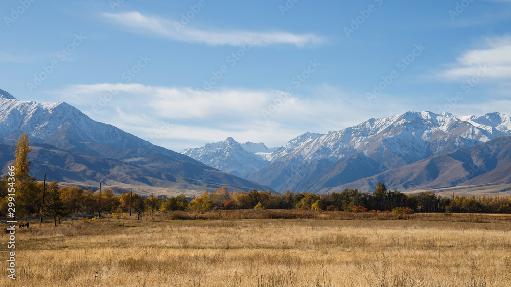 Fototapeta premium Steppe near Ala Archa national park Bishkeke Kyrgysztan with Tian Shan mountains in background