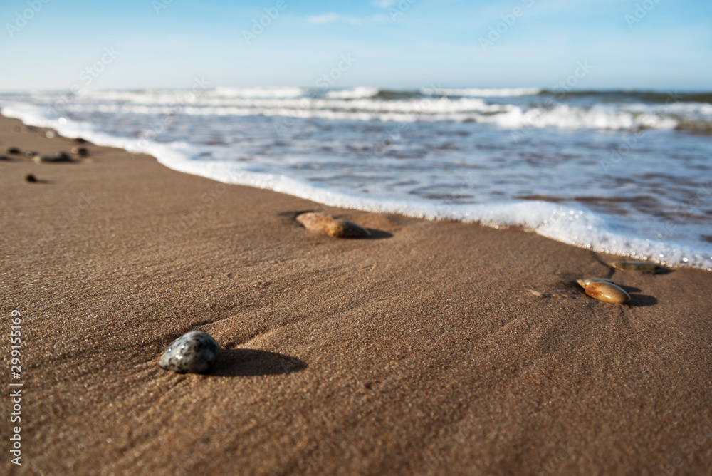 Coastline of Baltic sea. Coastline of Baltic sea.