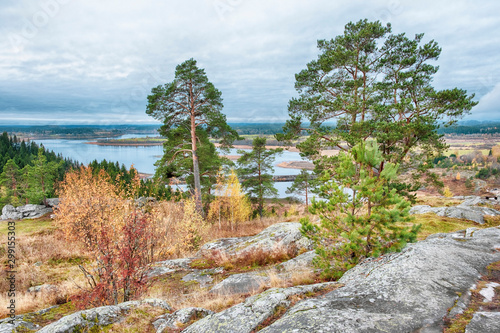 View from Mount Paaso in Karelia near Sortavala to the surrounding nature, forest and Lake Ladoga  in golden autumn photo