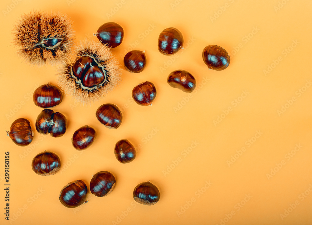 Stylish composition of chestnut on yellow background