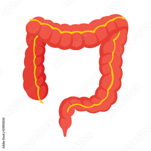 Body part intestines icon in flat style