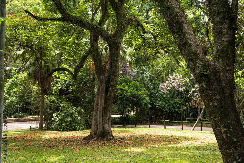Beautiful natural garden Beautiful natural garden