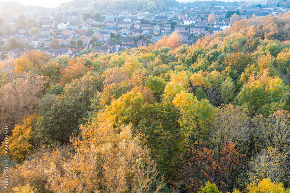 Aerial View over British Suburban Area at Autumn