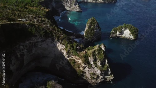 Multiple Tree House Hostels On Cliff Point