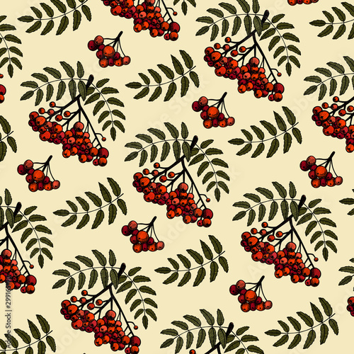 Hand drawn pattern of rowanberry branch with leaves and berries.  Autumn design. Red forest berries. For design textiles, fabric, packaging, paper, surface decoration, background.