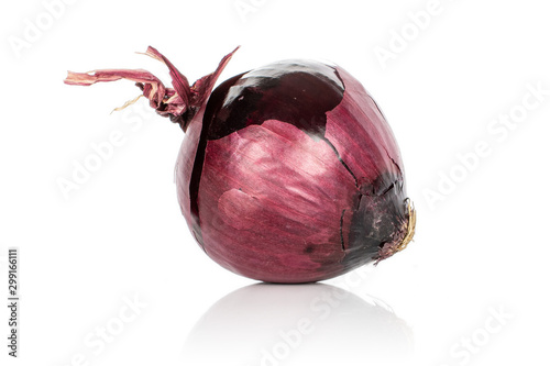 One whole tasty onion red isolated on white background