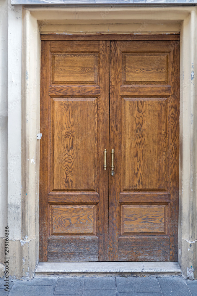 Double Wooden Door