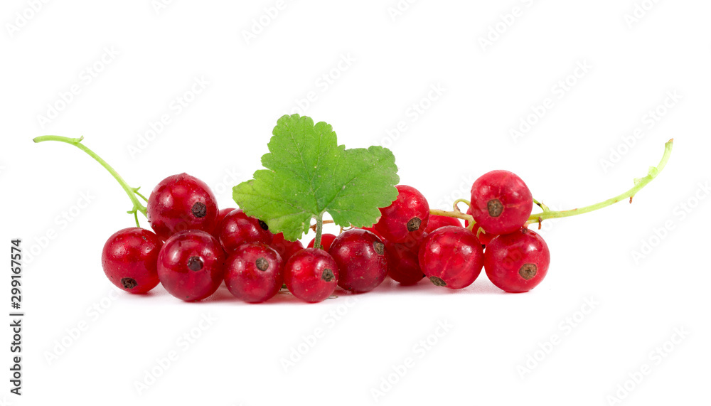 .red berries on a white background