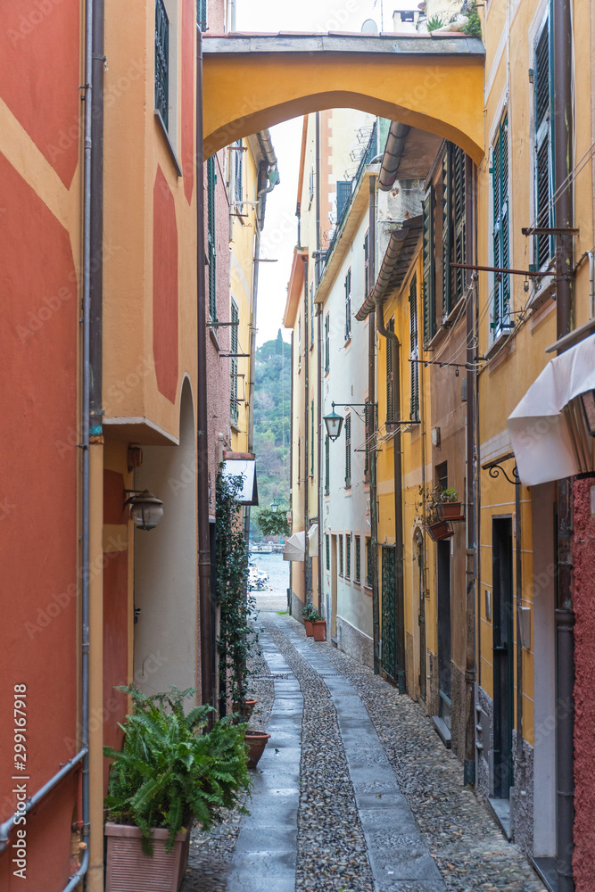 Fototapeta premium Portofino Narrow Street