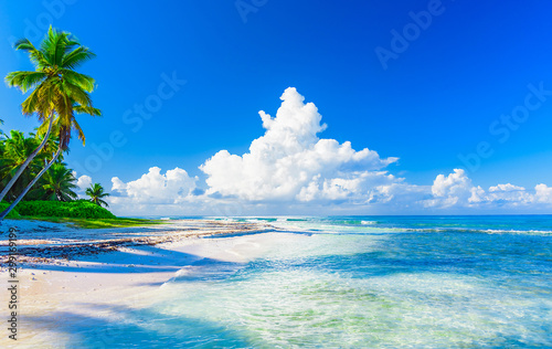 rajska tropikalna plaża