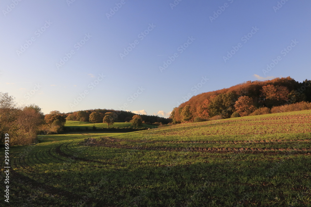 rural landscape with fields and soft hills in colorful autumn scenery