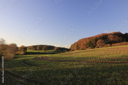 rural landscape with fields and soft hills in colorful autumn scenery