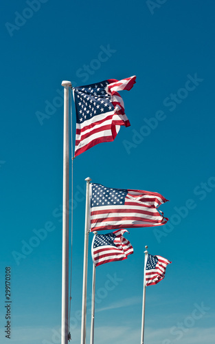 Front view, Lon distance of a series of American flags on poles fluttering in a strong breeze on a sunny, cloudless afternoon