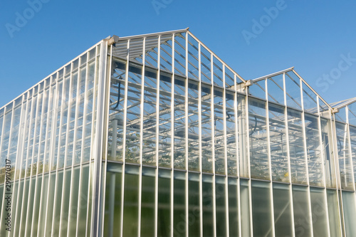 Glass transparent walls of the greenhouse with pipes and communications for growing plants  vegetables and fruits