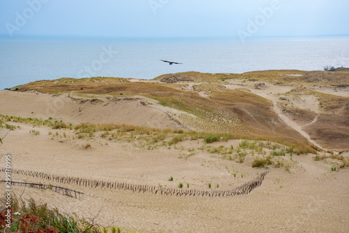 Panoramic view of sand dunes in Nida, Klaipeda, Lithuania, Europe. Curonian Spit and Curonian Lagoon. Baltic Dunronian Spit and Curonian Lagoon. Baltic Dunes. Unesco heritage. Eagle  flying in the sky