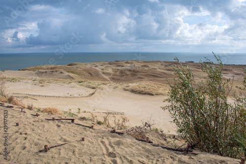 Panoramic view of sand dunes in Nida  Klaipeda  Lithuania  Europe. Curonian Spit and Curonian Lagoon  with reeds. Baltic Dunes. Unesco heritage