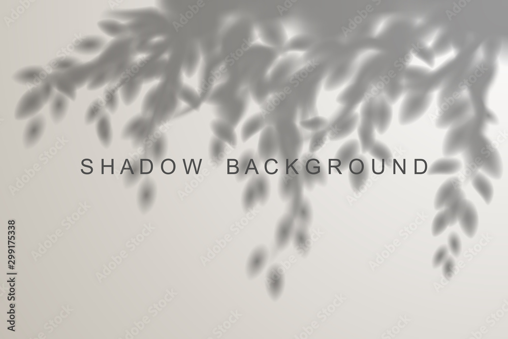Leaves shadow effect on white background - obrazy, fototapety, plakaty 