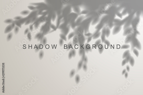 Leaves shadow effect on white background