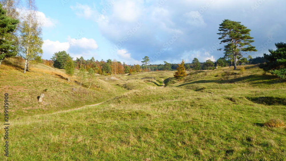 Herbstlandschaft rund um den Schlangenberg Herbstlandschaft rund um den Schlangenberg