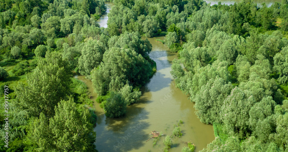 Sidebranch on the Drava River, Croatia