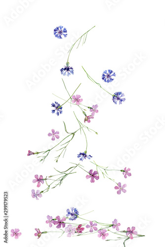 Falling watercolor flowers of cornflowers and carnations