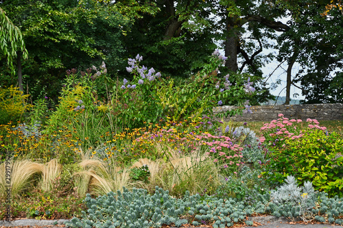Fototapeta Naklejka Na Ścianę i Meble -  Colorful Fall Border Garden with Forest Background in Wurzburg Germany