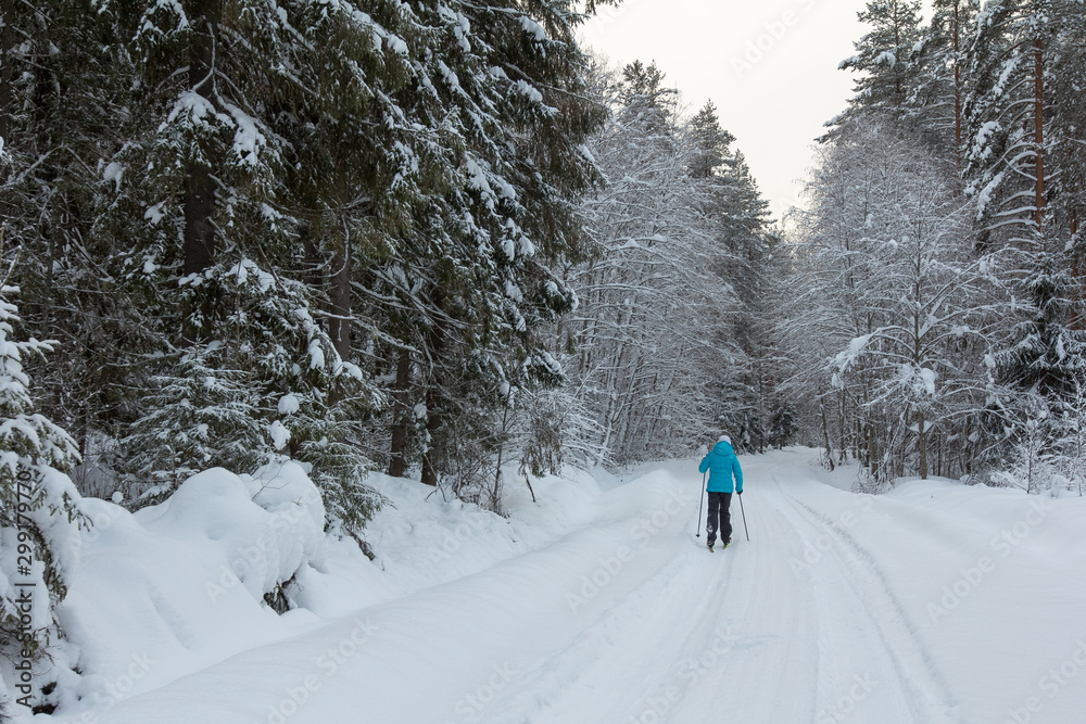 walk on ski in the snow-covered forest