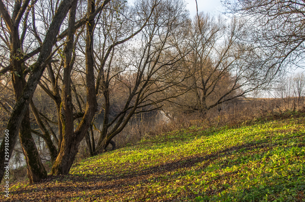 View of a small river in the southeast of the Moscow region. Autumn landscape