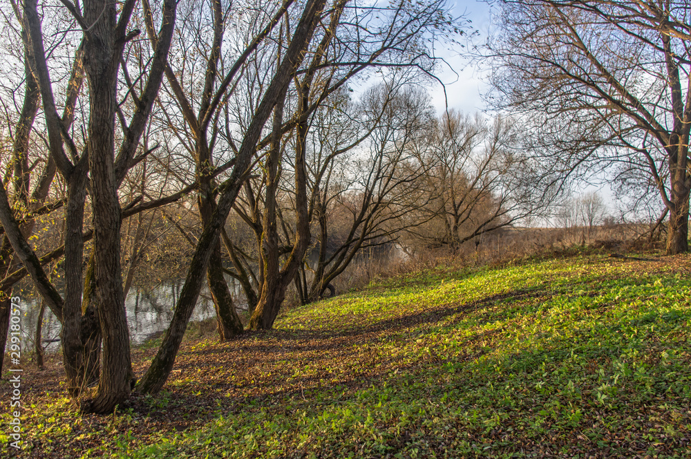 View of a small river in the southeast of the Moscow region. Autumn landscape