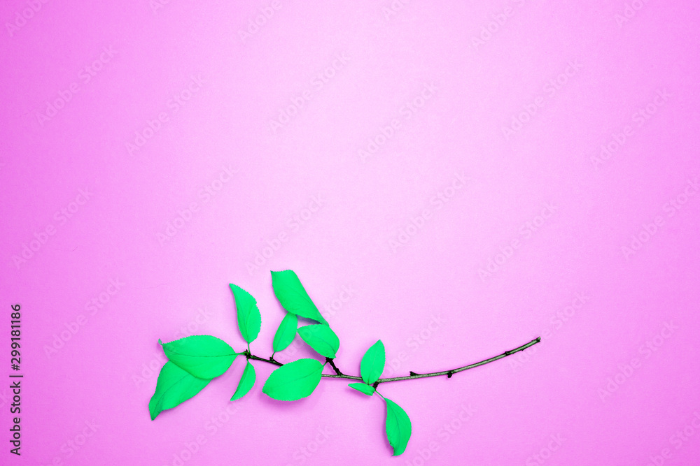 Autumn composition, frame of leaves. Branch with green leaves, plum, on a light pink background. Flat lay, top view, copy space