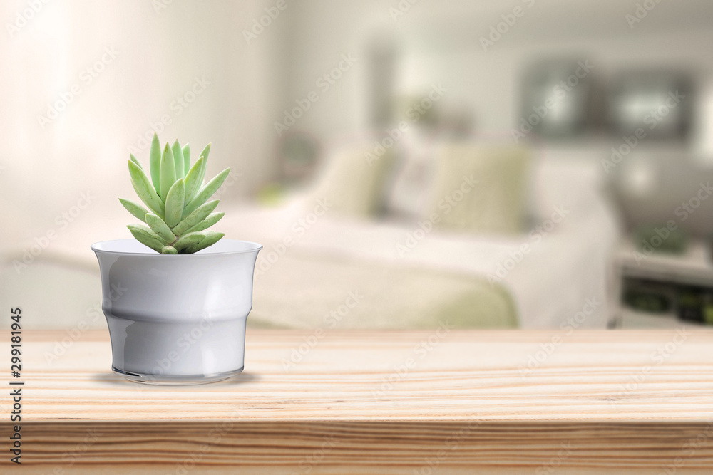 Glass Vase with cactus on vase pot on table Glass Vase with cactus on vase pot on table