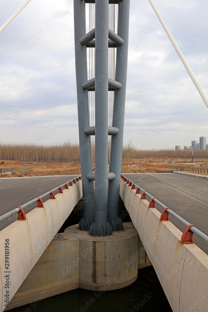 Obraz premium Bridge cable-stayed cable