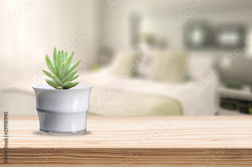 Glass Vase with cactus on vase pot on table
