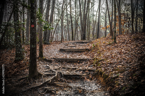  Raven Rock Trail in Raven Rock state park photo