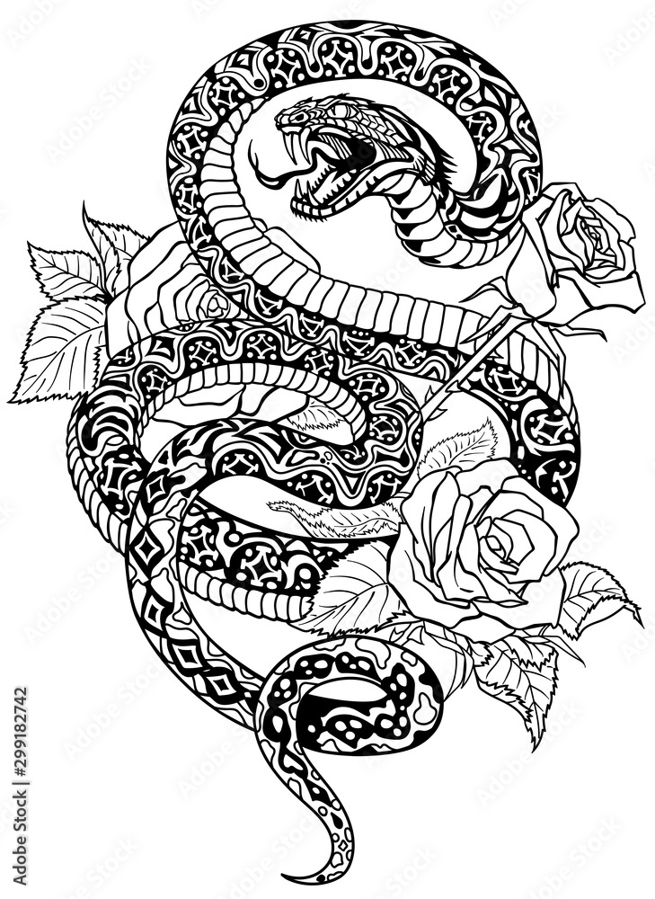 snake coiled round the roses. Angry dangerous serpent and flowers.Black and white Tattoo style or t-shirt design vector illustration snake coiled round the roses. Angry dangerous serpent and flowers.Black and white Tattoo style or t-shirt design vector illustration