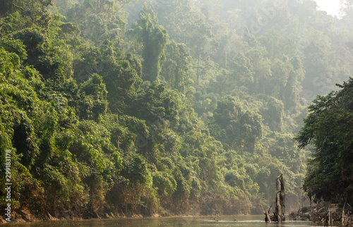 The dense forests lining the steep hillsides of the Gomti river on the way to Chabimura in Tripura, India. photo