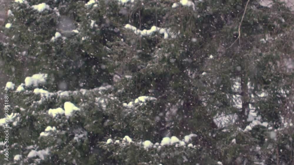 Winter Snowstorm with Blurry Forest Background. Winter Snowstorm with Blurry Forest Background.