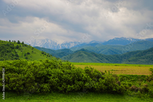 View of a green field, mountains in the fog in the early morning, out of focus. © Dzmitry