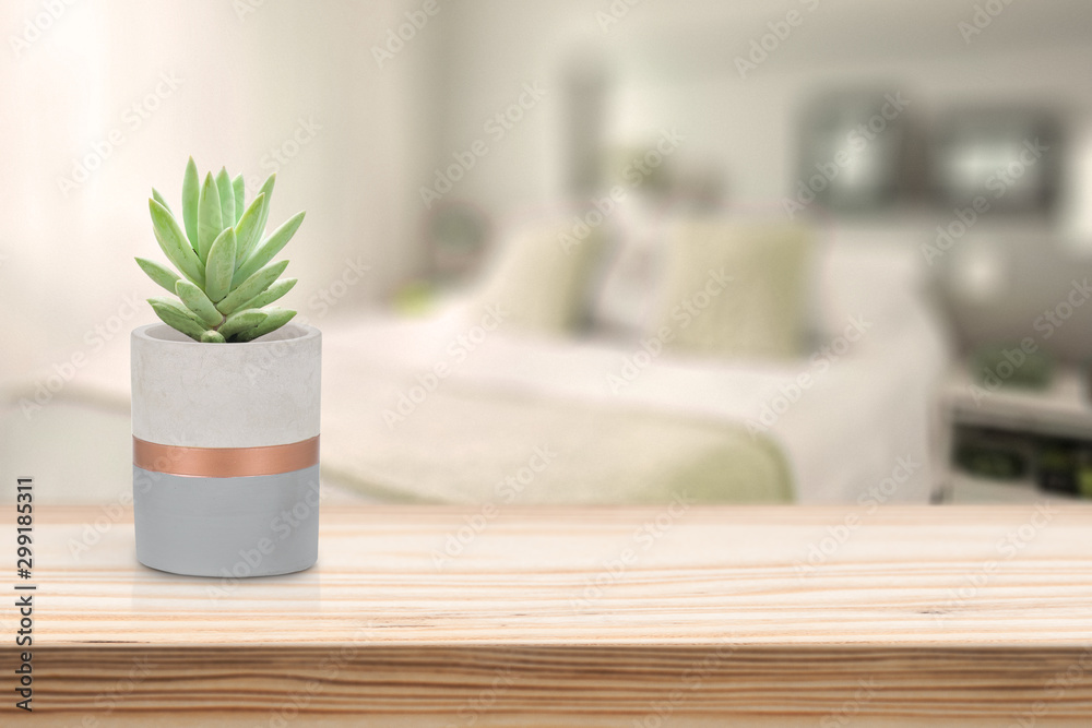 Cement Vase with Suculenton vase pot on table Cement Vase with Suculenton vase pot on table