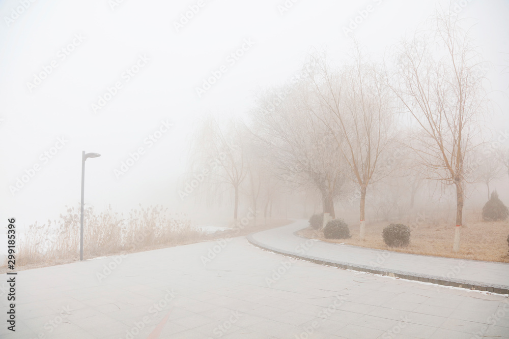 Obraz premium Natural scenery in winter