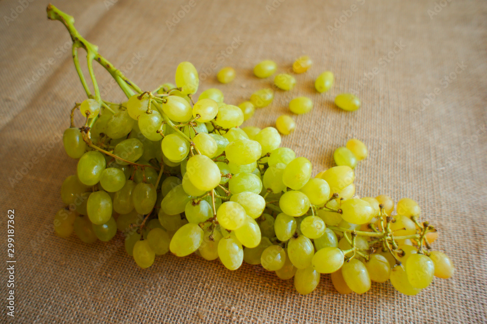 A bunch of grapes lies on a burlap A bunch of grapes lies on a burlap