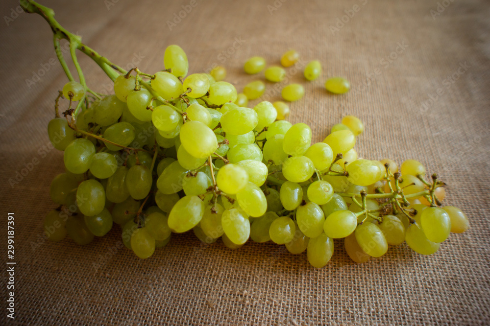 A bunch of grapes lies on a burlap A bunch of grapes lies on a burlap