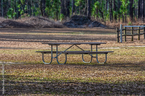 Picnic table in Jones Lake State Park,North Carolina,United State.