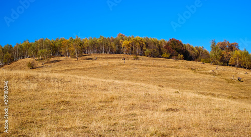 hills in the fall season  Fantanele village  Sibiu county  Romania