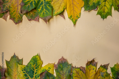 Colorful autumn leaves on pale yellow background  blank template  frame made of fall leaves  autumn background