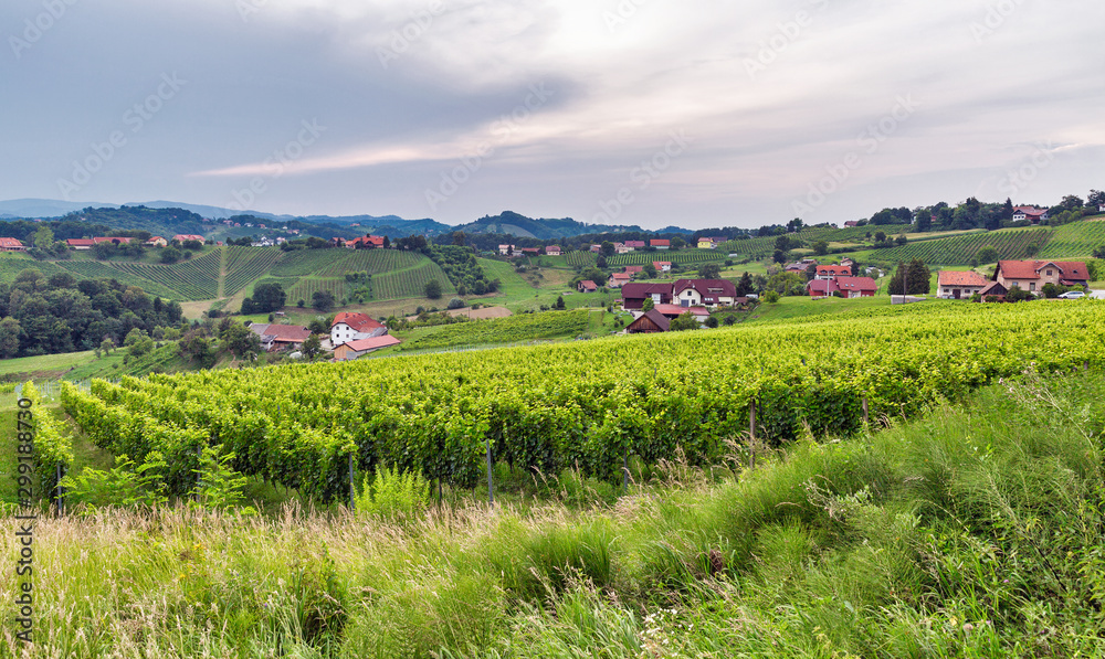 Summer Slovenian landscape near Maribor, Slovenia.